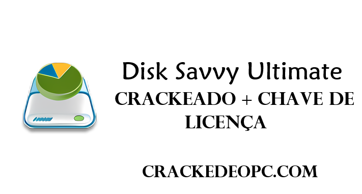 Disk Savvy Ultimate Crackeado