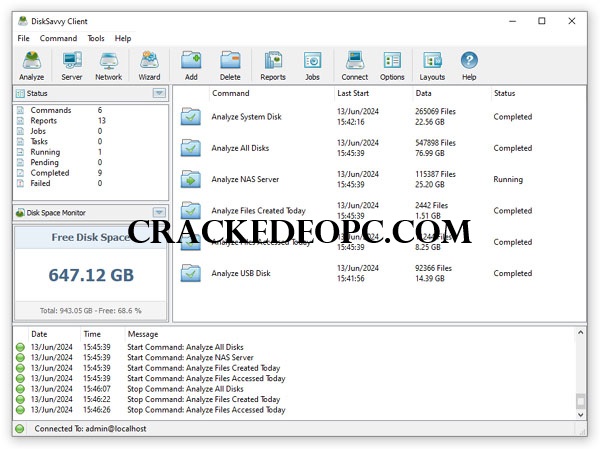 Disk Savvy Ultimate Crackeado